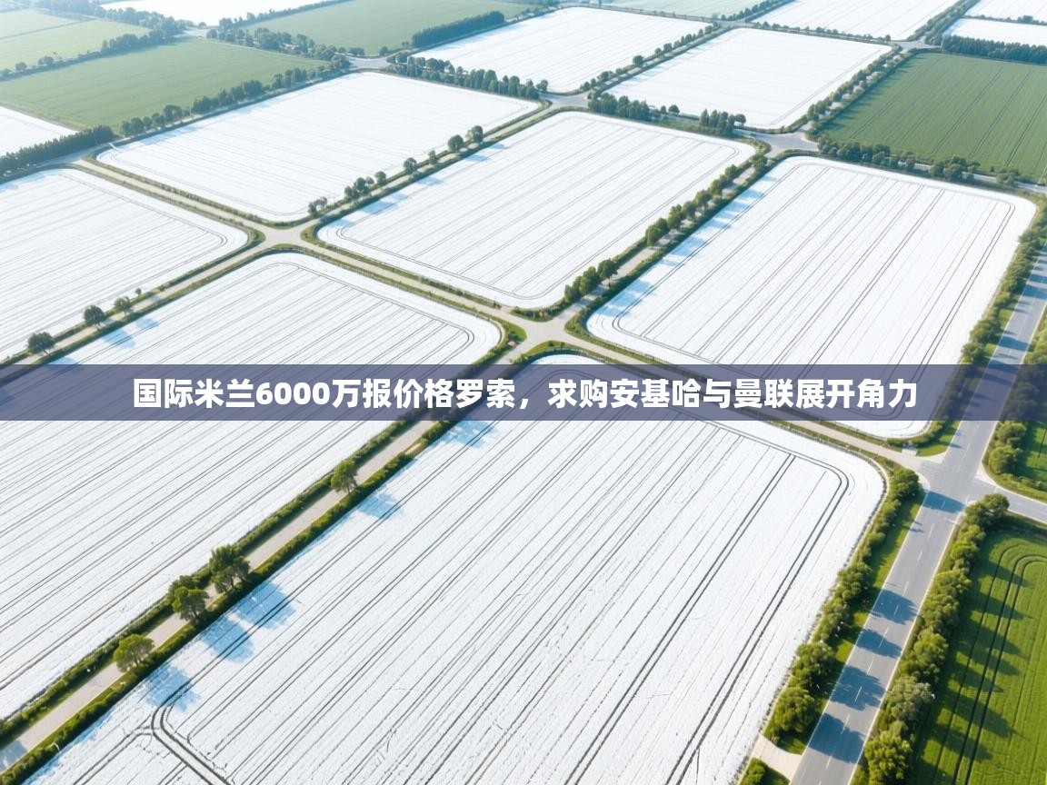 蓝鲸体育直播在线观看-国际米兰6000万报价格罗索,求购安基哈与曼联展开角力 第2张