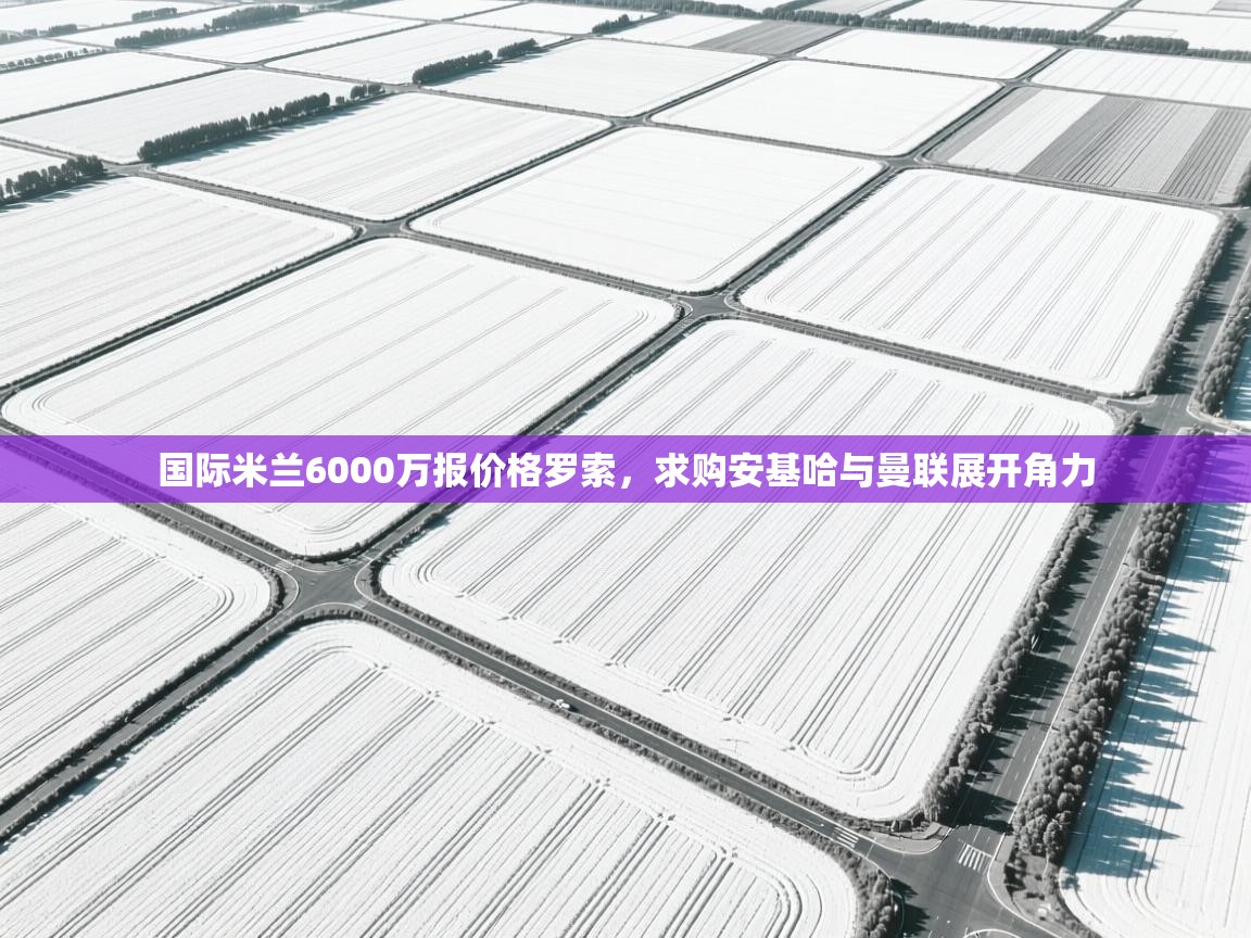 蓝鲸体育直播在线观看-国际米兰6000万报价格罗索,求购安基哈与曼联展开角力 第3张