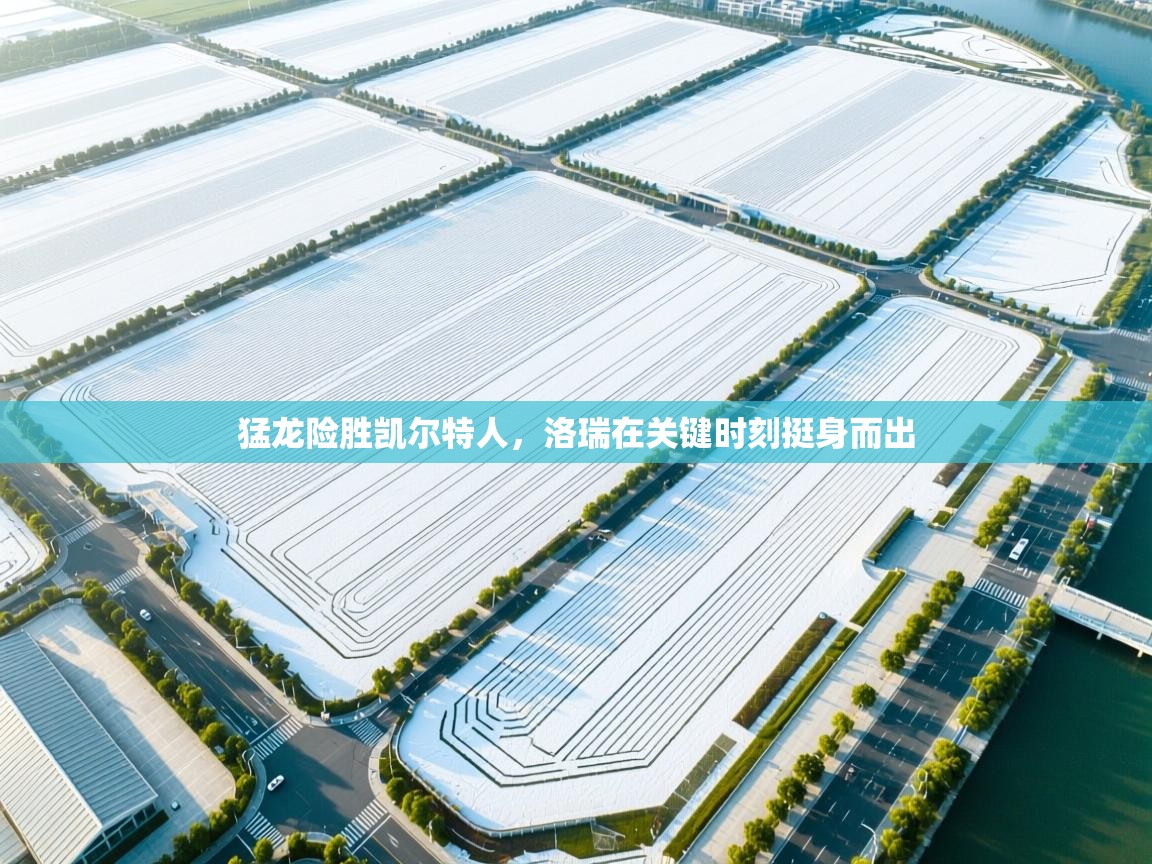 蓝鲸体育app-猛龙险胜凯尔特人,洛瑞在关键时刻挺身而出 第2张