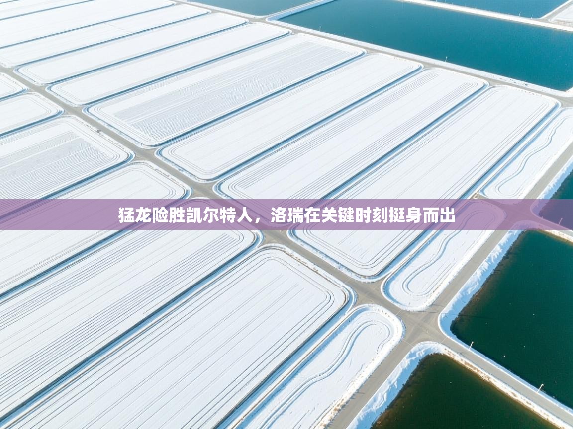 蓝鲸体育app-猛龙险胜凯尔特人,洛瑞在关键时刻挺身而出 第4张