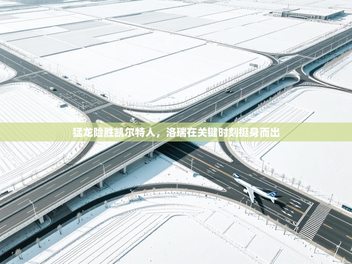 蓝鲸体育app-猛龙险胜凯尔特人,洛瑞在关键时刻挺身而出 第3张