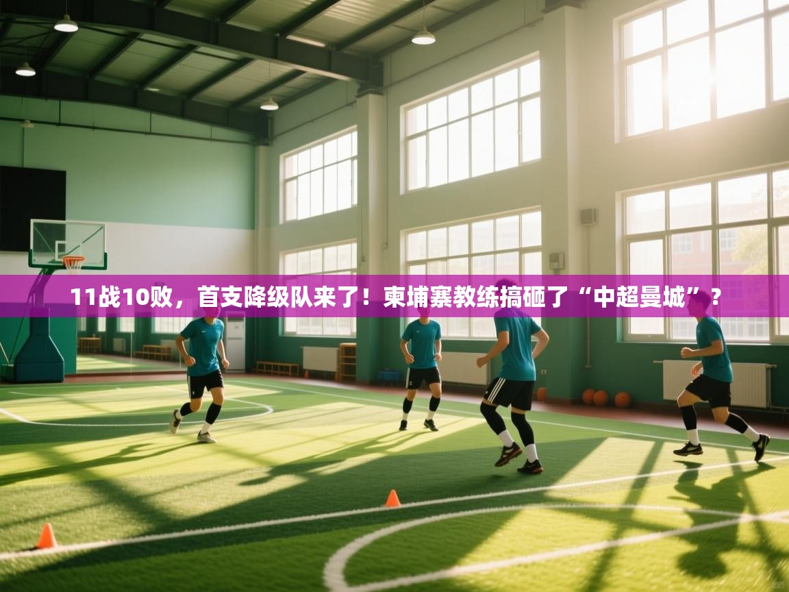 蓝鲸体育在线直播观看-11战10败，首支降级队来了！柬埔寨教练搞砸了“中超曼城”？  第3张