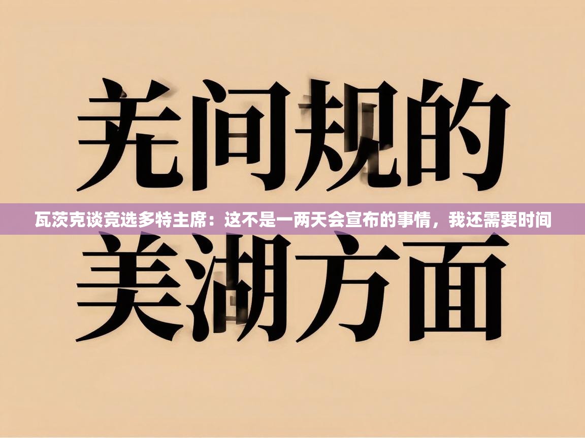 蓝鲸体育在线-瓦茨克谈竞选多特主席:这不是一两天会宣布的事情,我还需要时间 第4张