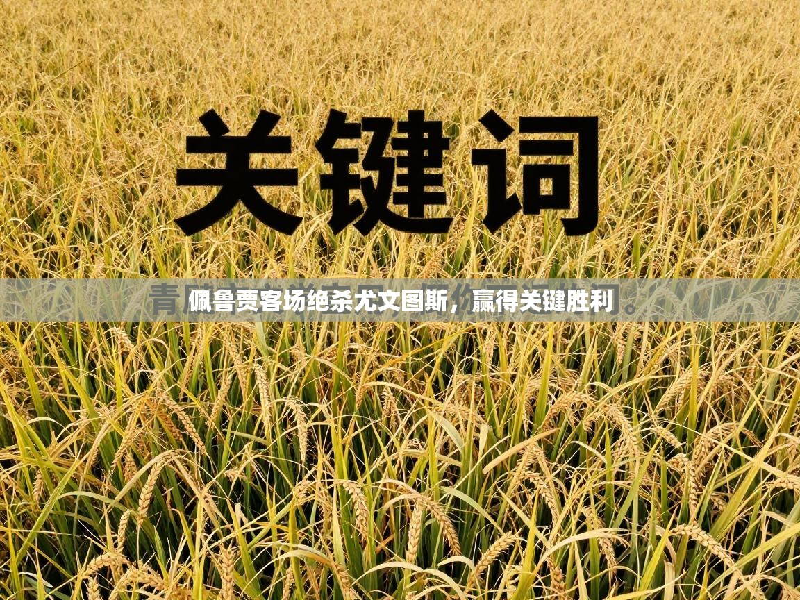 蓝鲸体育app官方下载-佩鲁贾客场绝杀尤文图斯，赢得关键胜利  第3张