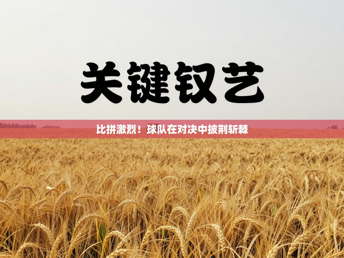 蓝鲸体育官网-比拼激烈！球队在对决中披荆斩棘  第2张