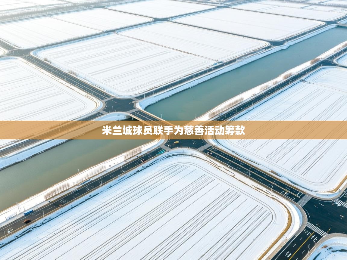 鲸蓝体育官网-米兰城球员联手为慈善活动筹款  第2张