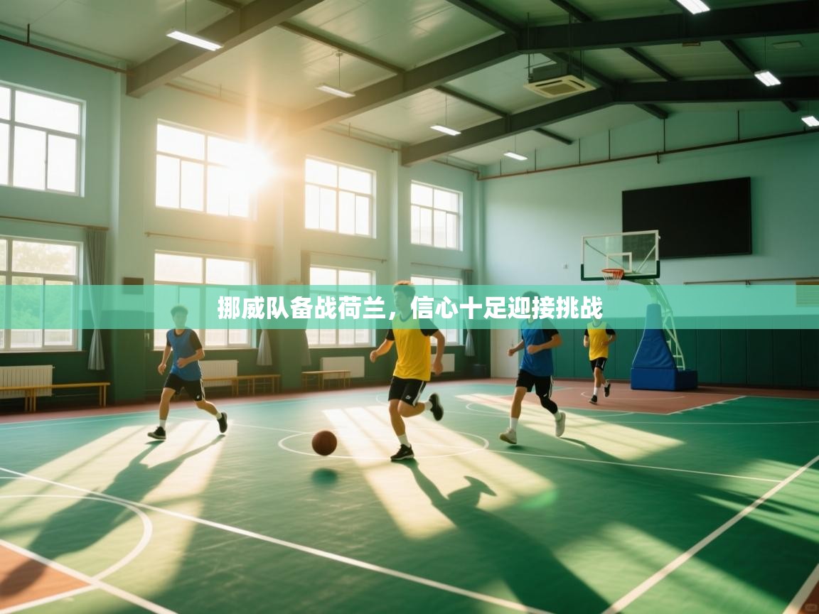 蓝鲸体育app官方下载-挪威队备战荷兰，信心十足迎接挑战  第2张