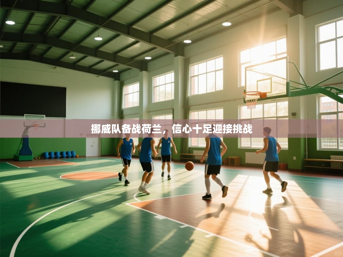 蓝鲸体育app官方下载-挪威队备战荷兰，信心十足迎接挑战  第3张