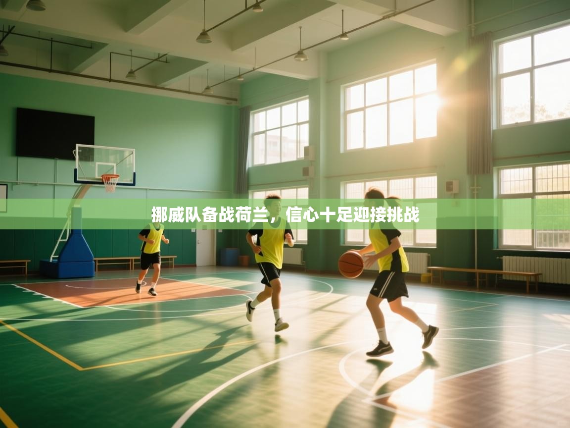 蓝鲸体育app官方下载-挪威队备战荷兰，信心十足迎接挑战  第4张