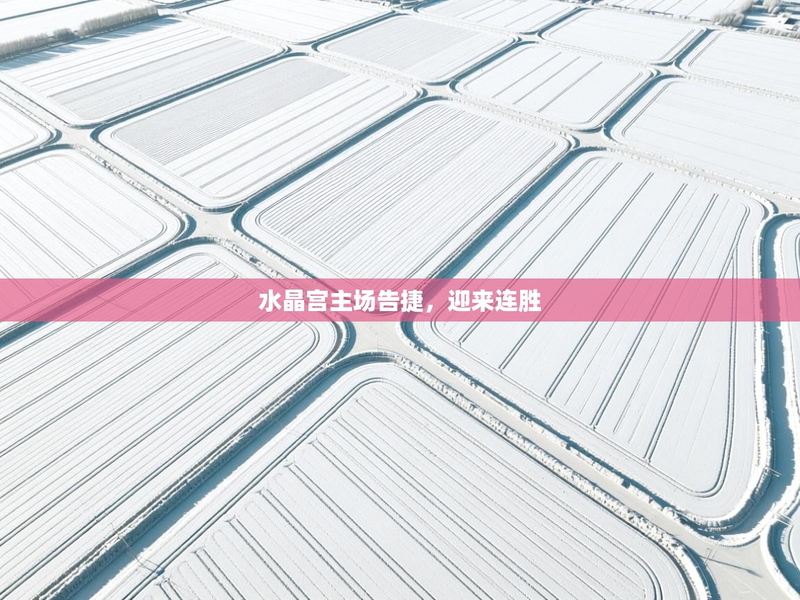 蓝鲸体育网页版入口-水晶宫主场告捷，迎来连胜  第2张