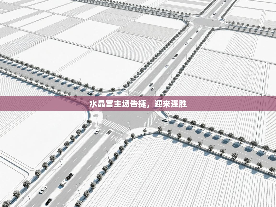 蓝鲸体育网页版入口-水晶宫主场告捷，迎来连胜  第3张