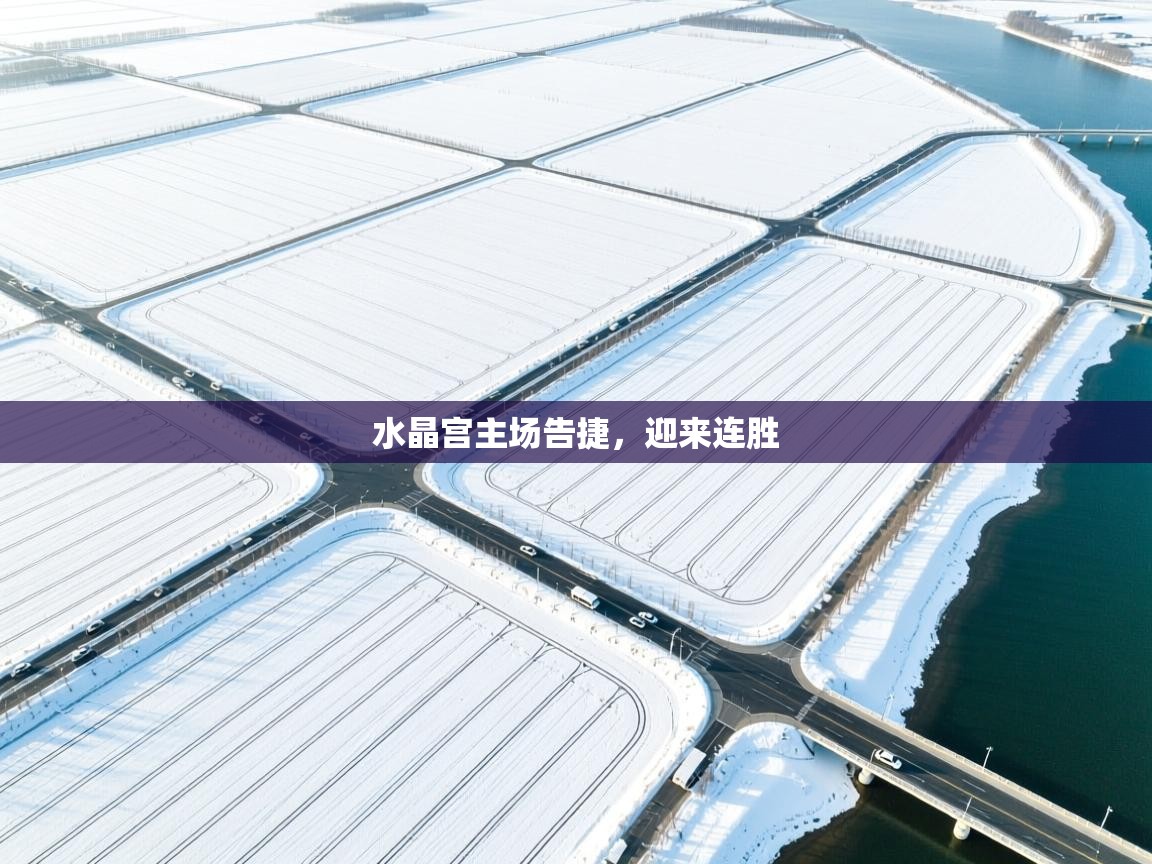 蓝鲸体育网页版入口-水晶宫主场告捷，迎来连胜  第4张