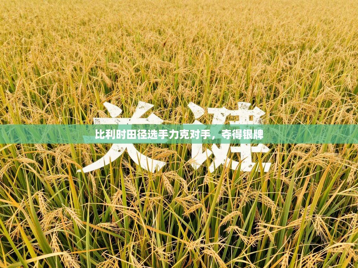 鲸蓝体育app下载-比利时田径选手力克对手,夺得银牌 第3张