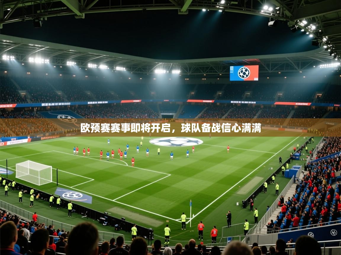 鲸蓝体育app下载-欧预赛赛事即将开启，球队备战信心满满  第3张