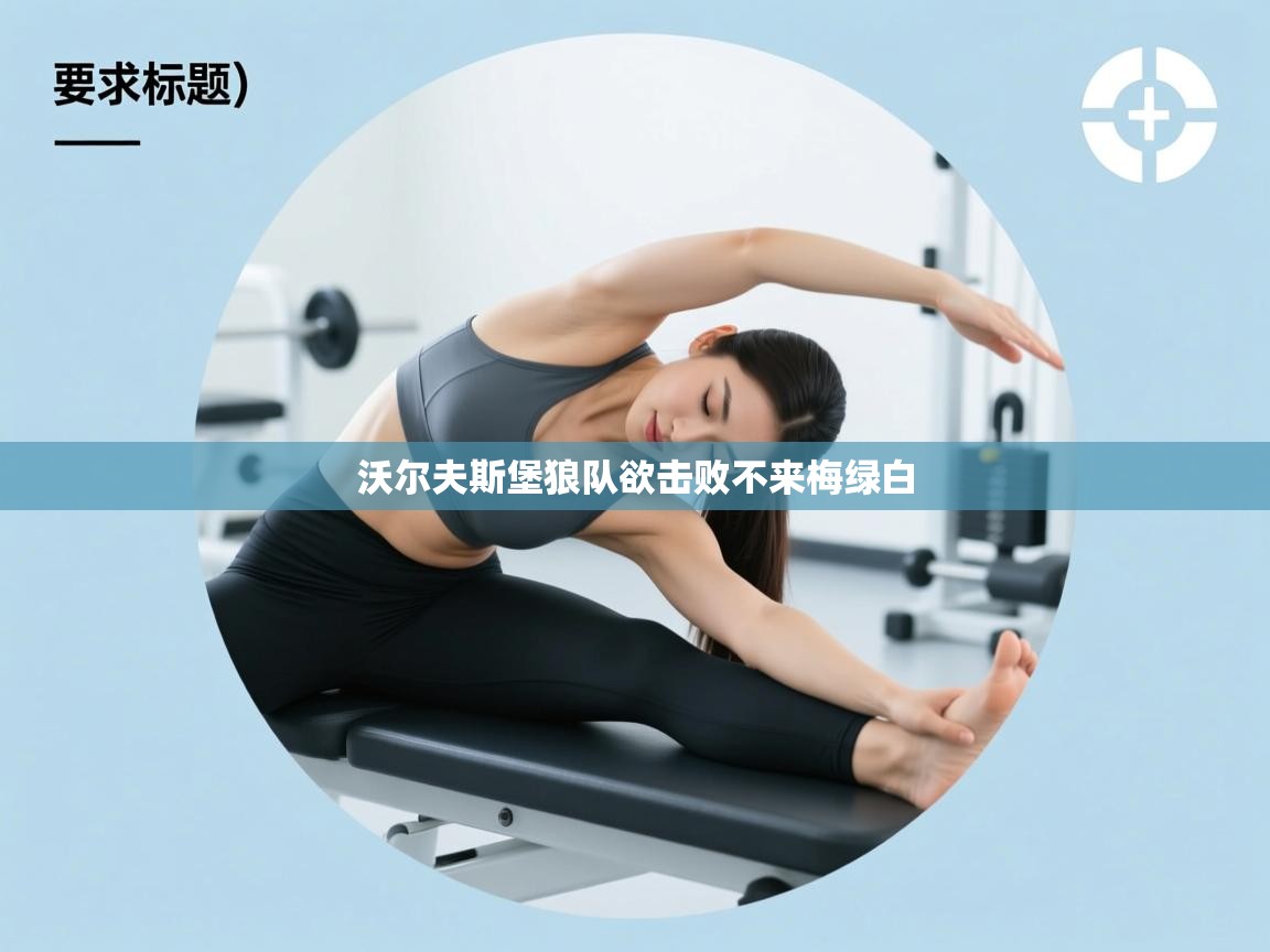 鲸蓝体育官网-沃尔夫斯堡狼队欲击败不来梅绿白  第2张