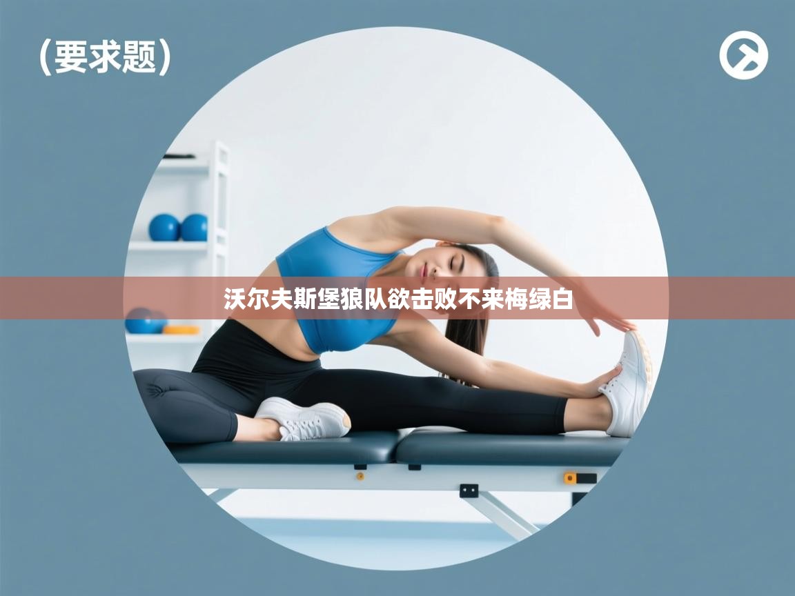 鲸蓝体育官网-沃尔夫斯堡狼队欲击败不来梅绿白  第4张