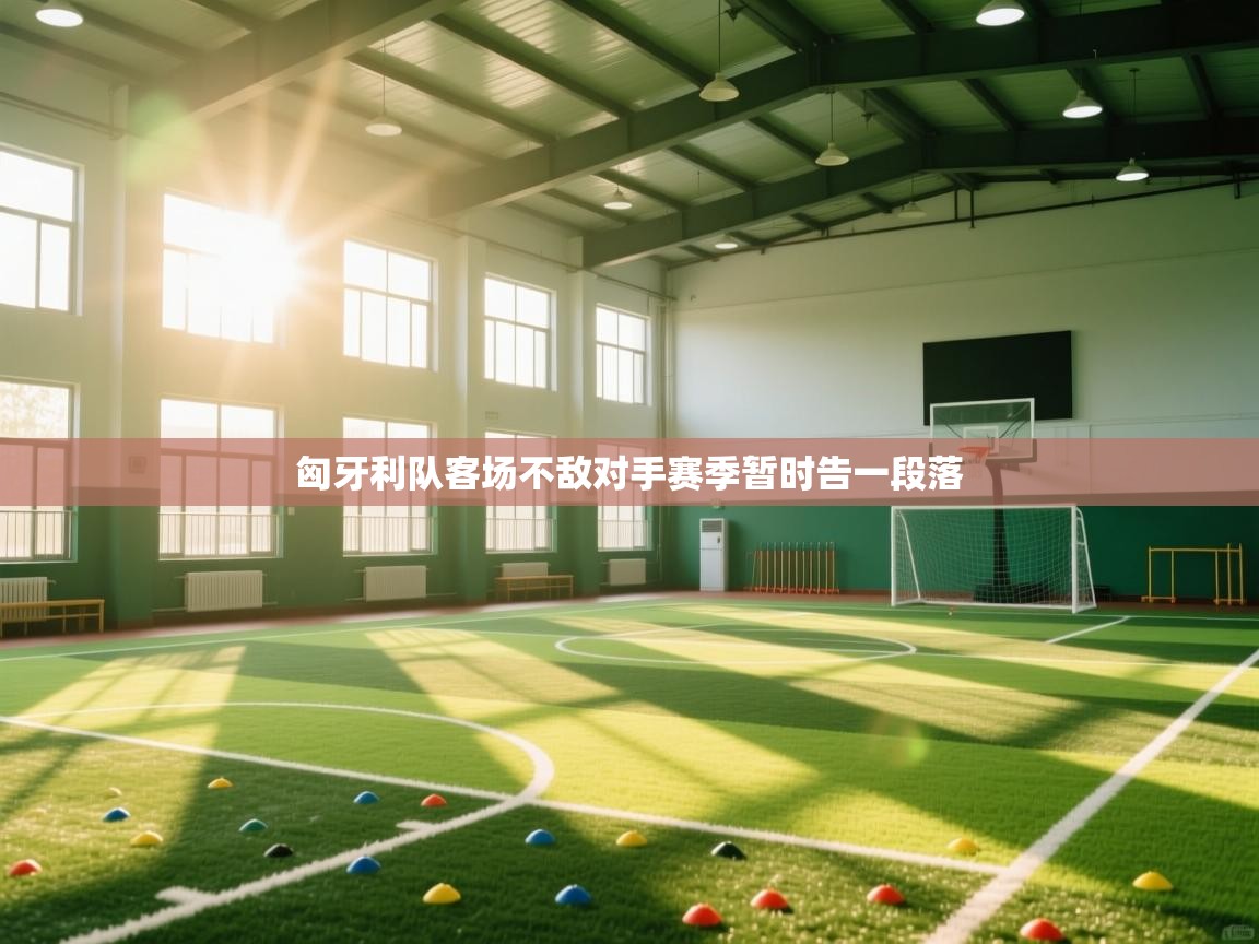 蓝鲸体育官网-匈牙利队客场不敌对手赛季暂时告一段落  第1张