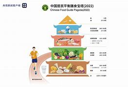 斯图加特着手营养改善计划，全队管理有序的简单介绍